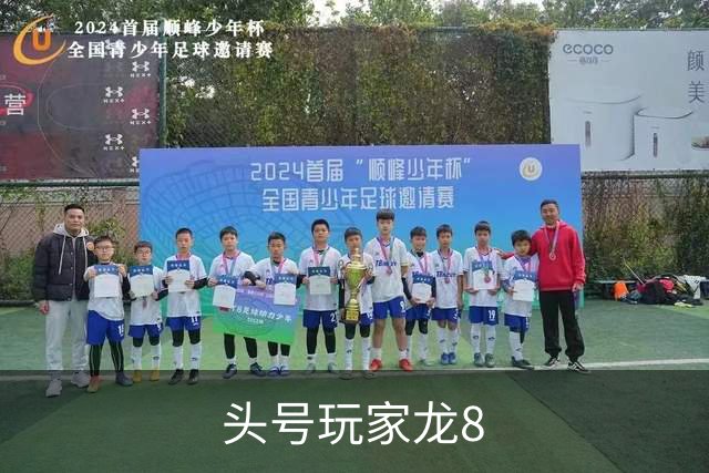 头号玩家龙8公司介绍