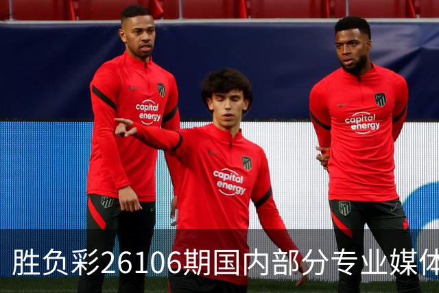 胜负彩26106期国内部分专业媒体复式推荐总汇