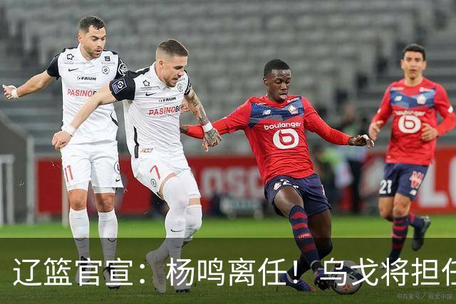 辽篮官宣：杨鸣离任！乌戈将担任辽宁男篮主帅
